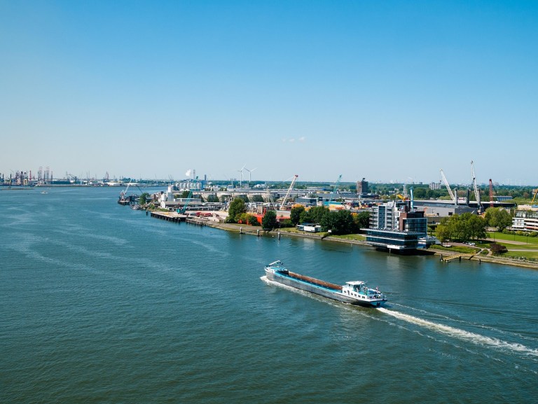 Logistics Optimization: Reducing Costs and Time for Global Shipments