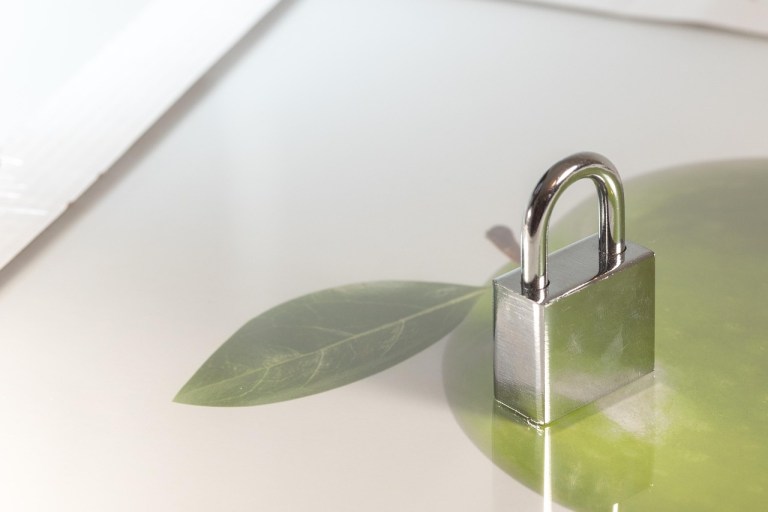 Investment and Intellectual Property Protection