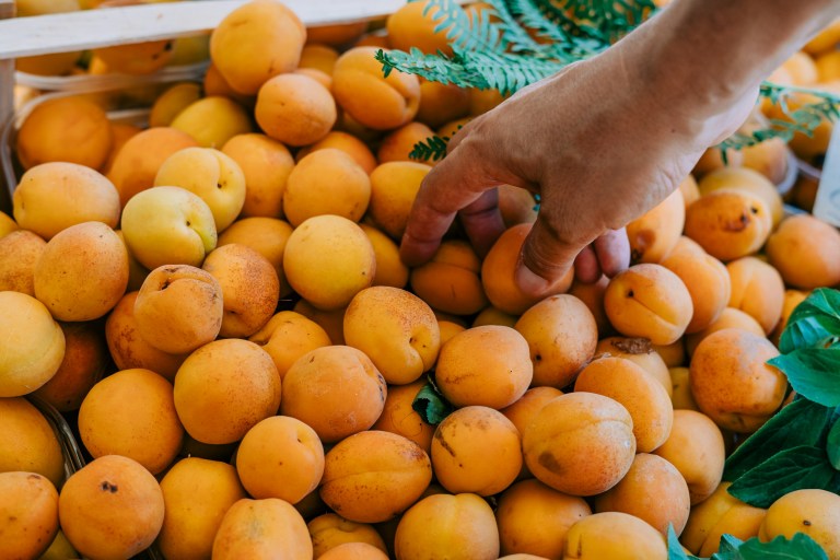 Malatya’s Dried Apricot Exports Top $20 Million in March